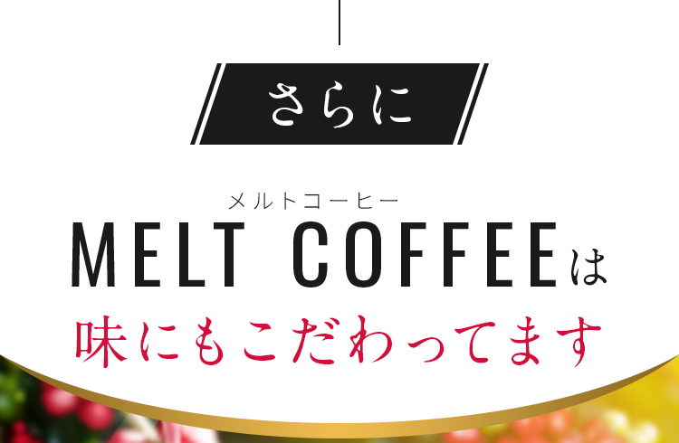 卸売り MELTCOFFEE メルトコーヒー サラシア 100g